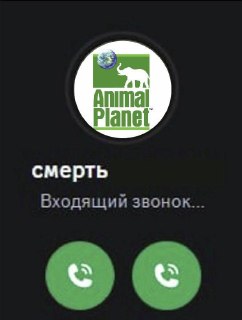 Учёные составили рейтинг животных, которые чаще остальных убивают людей: https://lentach.media/FzXc2
