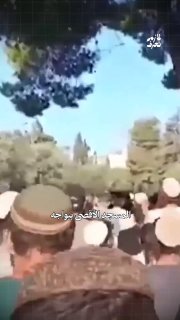 רשת חדשות ירושלים