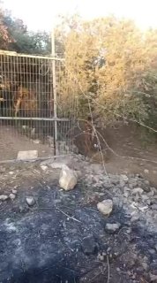 מתנחלים מסתערים על השכונה הצפונית בעיירה חווארה מדרום לשכם.