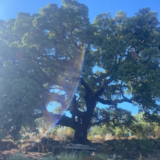 Central Portugal Community