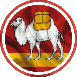Telegram profile photo for Новости Челябинска и Области