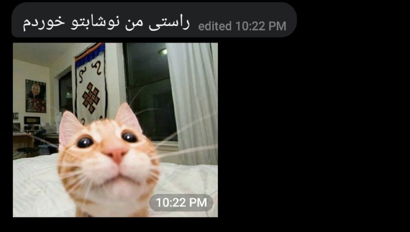 iRo Proxy | پروکسی: نوشته بود : بچها زن نگیرید.خوراکیاتونو میخورن استیکر گول زننده هم میفرستن هیچی نمیتونید بهشون بگید.پروکسی | پروکسی | پرو