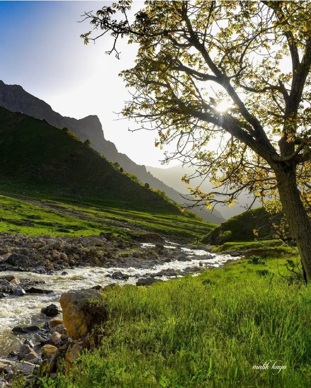 NuceQalawiShaho قالاو: 📆 ئەمڕۆ دووشەممە بەیانی تان باش ...🌾🌷٠۲ی خەرمانانی 2726ی کوردی🌾🌹٠۲ی شەهریوەری 405ی هەتاوی🌾🌹٢۴ی ئاگۆستی 2026ی زایینی🌾🌹١۱ی