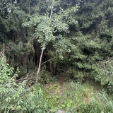Дикая территория