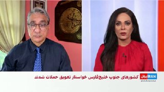 آرام حسامی, a professor of political science, about how the Gulf countries were able to...