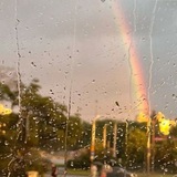 Rainy world