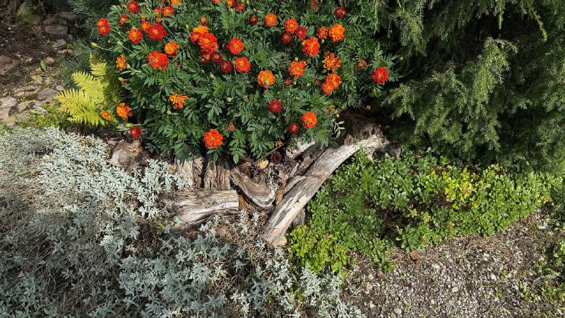 Уехала к бабушке за воспоминаниями из детстваВажная часть жизни, которую я отодвинула в сторону на многие годы — лет 10. Сама себя наказала, отказавшись от такой красоты 😍Уехала к бабушке за воспоминаниями из детстваВажная часть жизни, которую я отодвинула в сторону на многие годы — лет 10. Сама себя наказала, отказавшись от такой красоты 😍