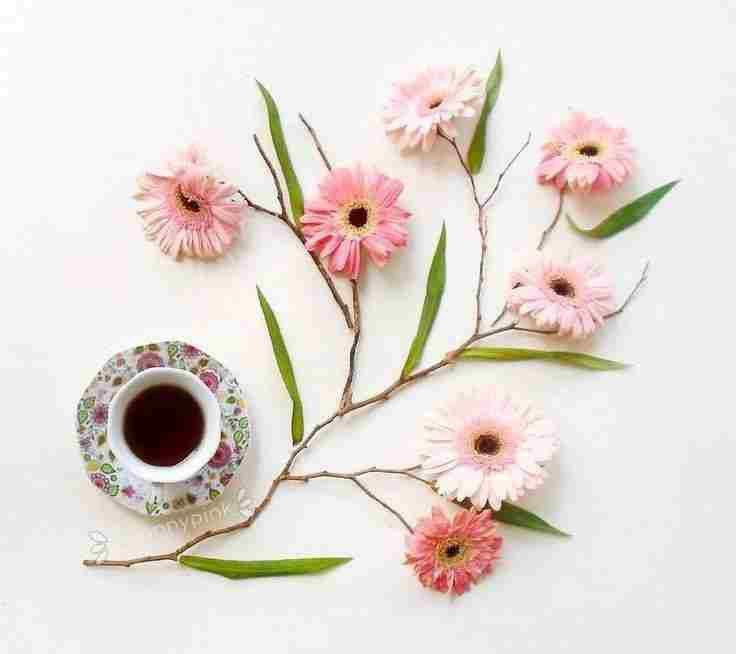 👈💘ڪـلـبـه عـشـق❤ 👉: صبحت بخیر رفیق جان 😊✋یه فنجون قهوه ☕️با طعم گل و حال خوب🌸تقدیم به تو که همیشه تو دلمی💕••🍃🌸 @iloyey 🌸🍃••