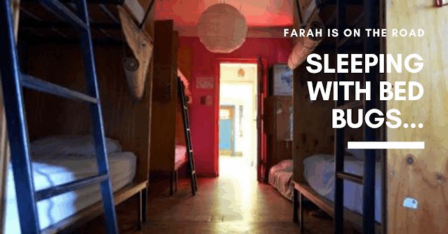 當旅行時遇上床蟲...