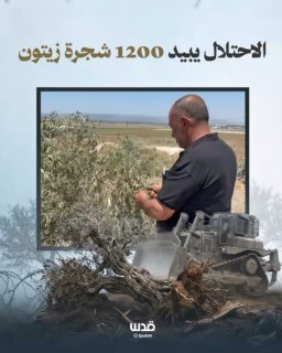 רשת חדשות ירושלים