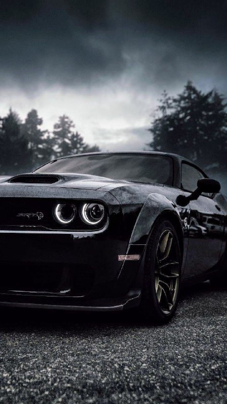 @sochiautoparts 9