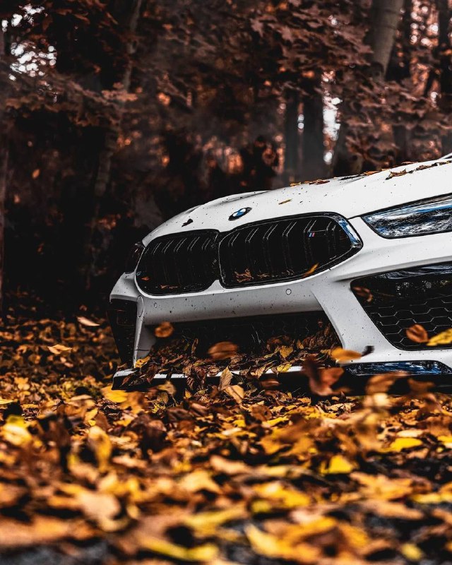 BMW M8 Competition