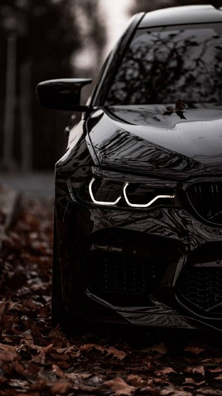 https://t.me/bmw_mpower_club