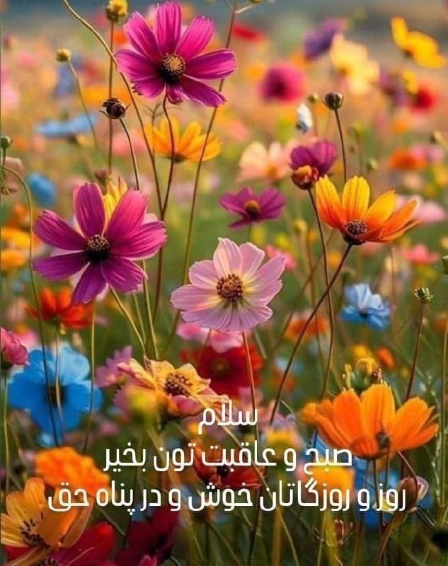 🌹 نغمه های بیرنگی 🌹: ▫️زیبایی صبح ، کاکل خورشید استهر روز سحر ، قراول خورشید‌ استموسیقی و شعر ناب آماده کنیدهر صبح تولد گل خورشید است#محمود_ع