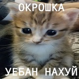 АРХИВ//Окрошка (18+)