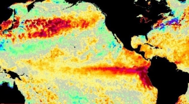 كانال گرگان 🌹: 🔺ال نینوی امسال احتمالا رکوردشکن است🔹اداره ملی اقیانوسی و جوی ایالات متحده (NOAA) پیشبینی کرده است شدت پدیده ال نینو