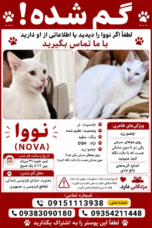 بجنورد زیبا: 🔴 یک گربه خانگی در بجنورد گم شده استاطلاعات بیشتر در پوستر درج شده است