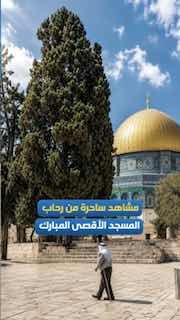 شبكة قدس تنشر صوراً من المسجد الأقصى