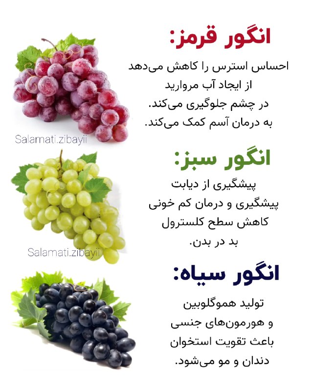افزایش قد و سلامت بدن: 🟢 خواص انواع انگور @roshdghad