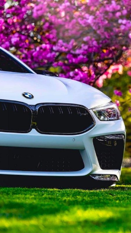 https://t.me/bmw_mpower_club