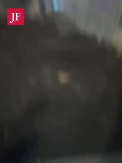 אסף רוזנצוייג