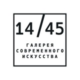 Художественная галерея 14/45
