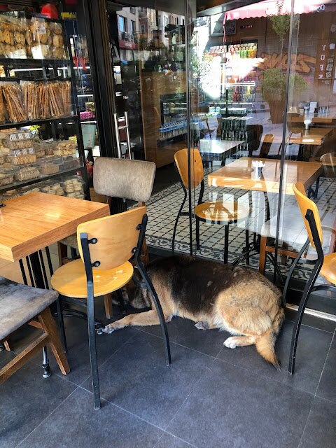 土耳其: 吉漢吉爾與Güllüoğlu