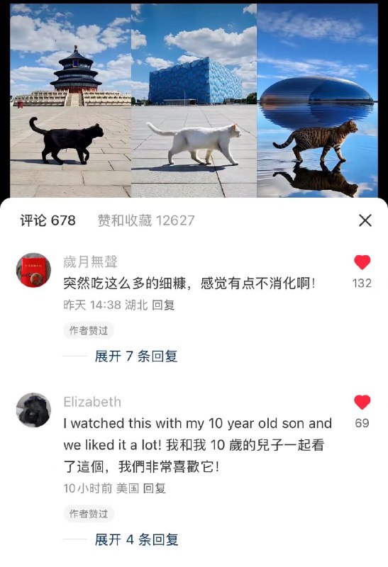 捷报！《故宫猫猫上班记》发布3天，视频号播放量就破100万啦～！小红书破了1万赞，抖音也破了7K赞～！北京日报和北京发布也进行了转载刊登！还上了北京同城热搜！刷新好多成就，谢谢大家的喜欢