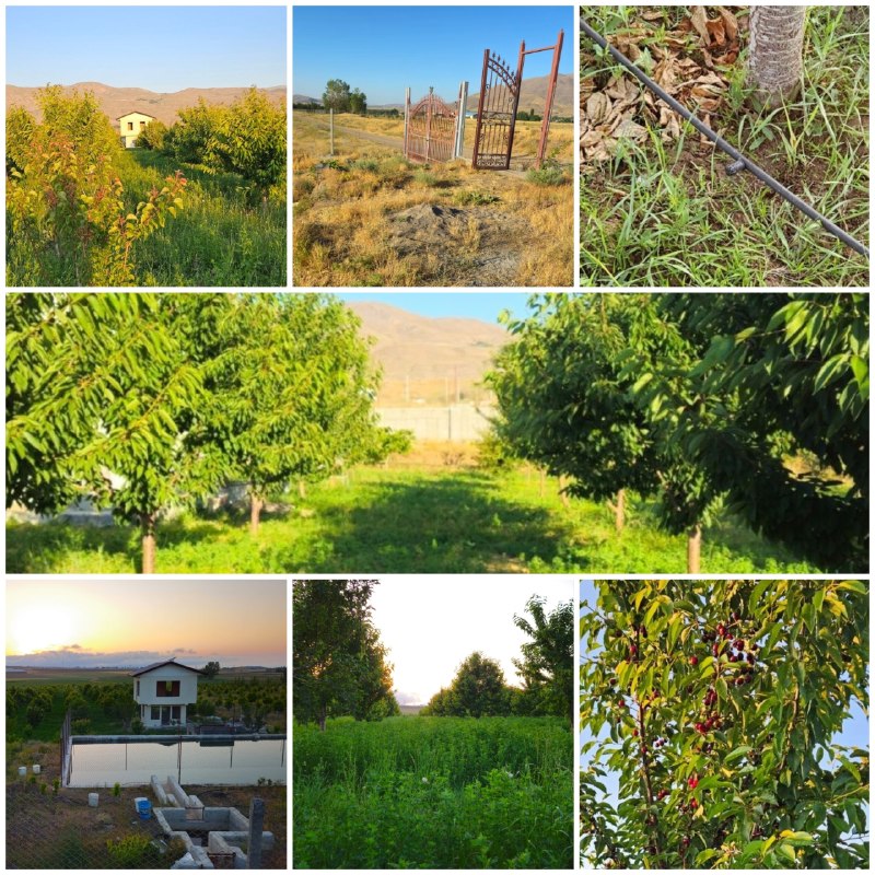 کانال رسمی شهرهیر: آگهی فروش باغ در گازیولی🌳 باغ نزدیک به جاده اصلی تهران – اردبیل📍 واقع در منطقه گازیولی🔹 فروش به متراژ ۵۰۰۰ متری تفکیکی🔹