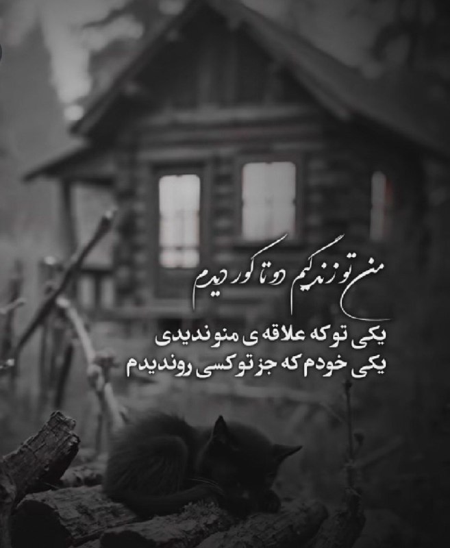 👑 شهر عکس 👑: 💜 @shahreeaks 💜