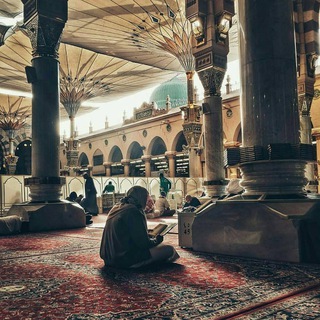 Telegram profile photo for مُتجلِّد!