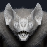Лігво кажана 🦇