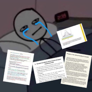 Telegram profile photo for Memes