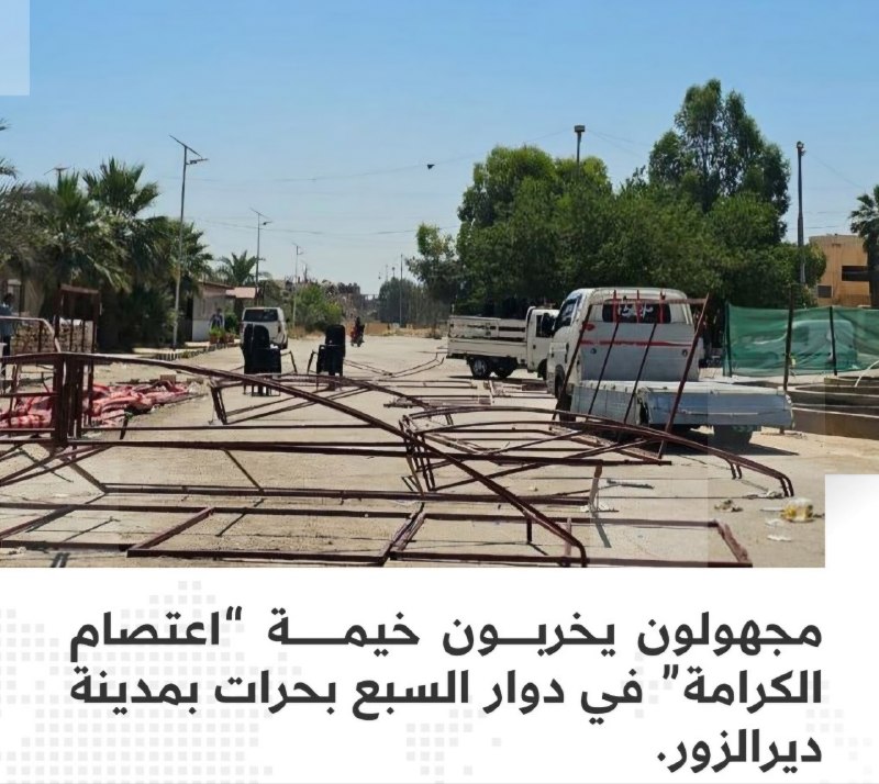 صورة المنشور