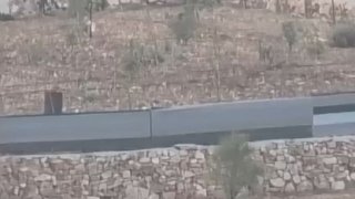 מתנחלים משחררים את בעלי החיים שלהם לאדמות חקלאים בכפר ברקה, מזרחית לרמאללה.