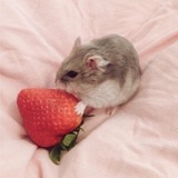 AKYLINA :3