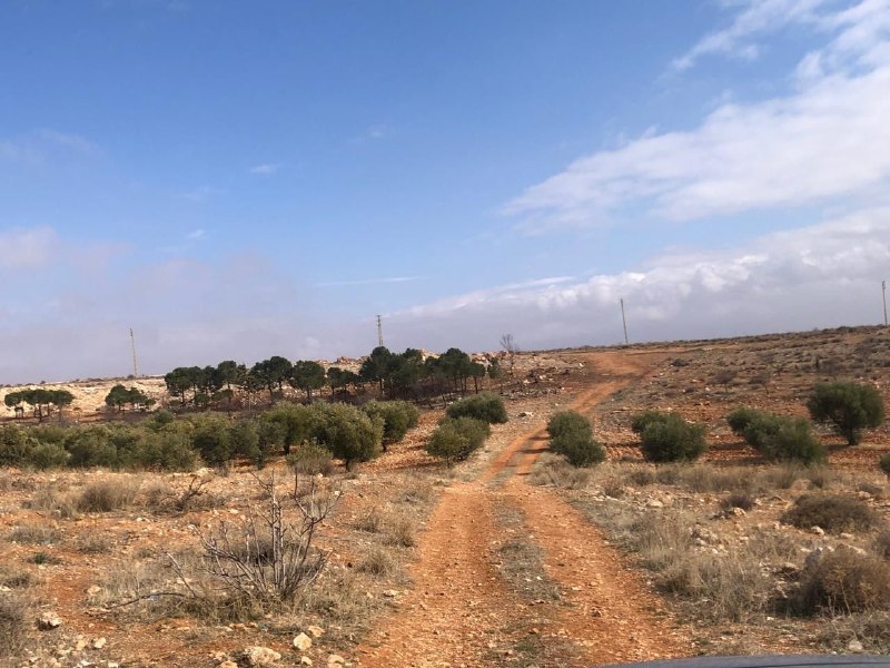 למכירה הזדמנות השקעה וחקלאית נדירה בשאת - בקע