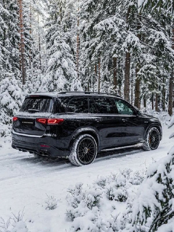 2.7-ton GLS 63 AMG 4MATIC+ 4.0-L V8 BITURBO 612 HP 0-100 km/h 4.2 sec 4