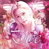 DICE | SKZ ISD