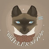 Briller shop