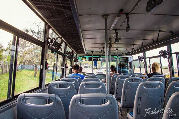 塞席爾自助搭公車就可以？島上交通其實很方便，遊客限定700台幣8天搭到飽