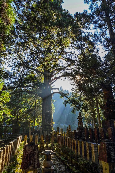 奧之院的地藏們