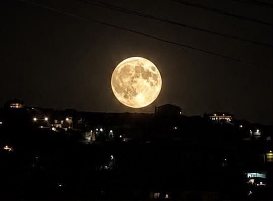 עלי אל-טאהר הערב ️