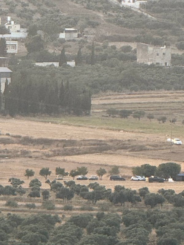 דחוף: מתנחלים הקימו מספר אוהלי התיישבות חדשים במישור הכפר אודלה, דרומית מזרחית לשכם.