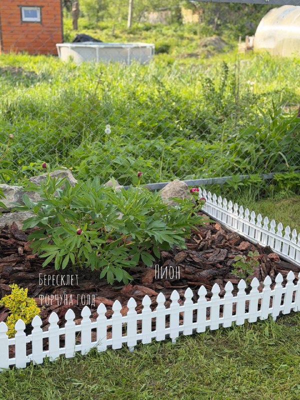 Взяла день отдыха от соцсетей, чтобы упахаться в саду Начала оформлять новую пока что последнюю клумбу, но удалось сделать лишь наполовину бордюрна... - изображение 1 - саду, всё, взяла