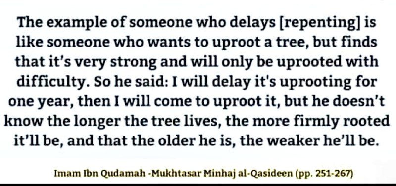 𝗪𝗼𝗺𝗲𝗻'𝘀 𝗕𝗲𝗻𝗲𝗳𝗶𝘁𝘀 (178)