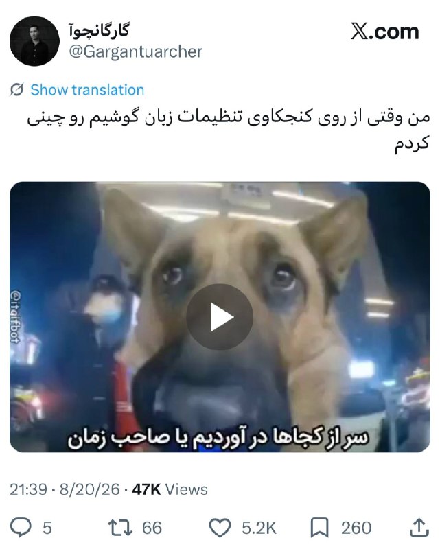 دخترا :: - @iDokhtara