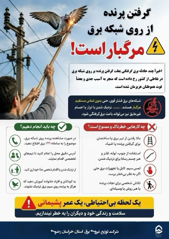 سبزواریان: ♦️گرفتن پرنده از روی شبکه برق مرگبار است!🆔️ @Sabzevarian🔗http://sabzevariyan.ir