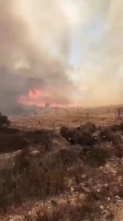 10 בתים נפגעו בשריפה בחוות גלעד, שני לוחמי אש נפצעו בינוני וקל