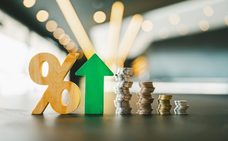 באילו אג"ח לבחור בשיעור של 14%: 10 הנפקות אמינות המובילות עם תשואות מעל ה"מפתח" הבנק המרכזי שמר על ריבית המ…
